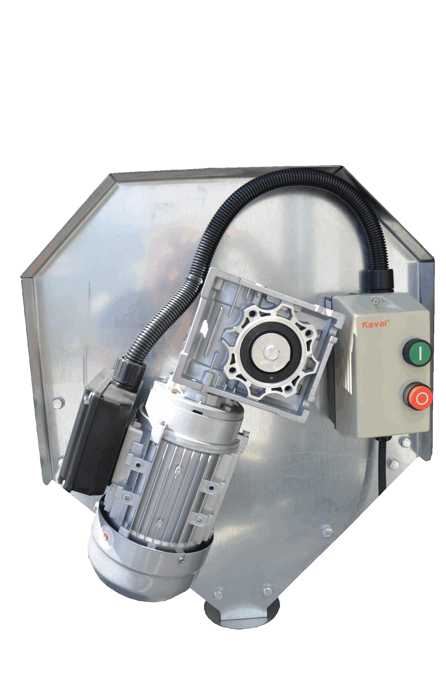 Cerpur CS1 double drum grain cleaner image 2