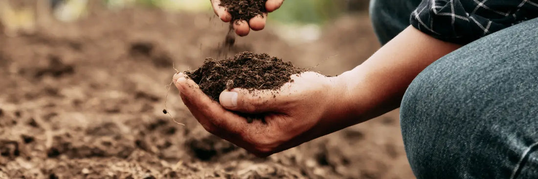 Feeding the Soil or Feeding the Crop? Microbial vs Synthetic Chemistry